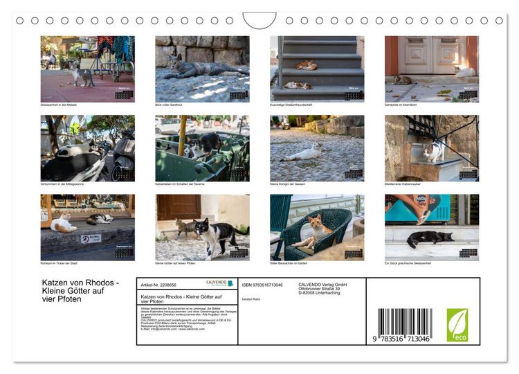 Produktbild: Katzen von Rhodos - Kleine G&ouml;tter auf vier Pfoten (Wandkalender 2026 DIN A4 quer), CALVENDO Monatskalender