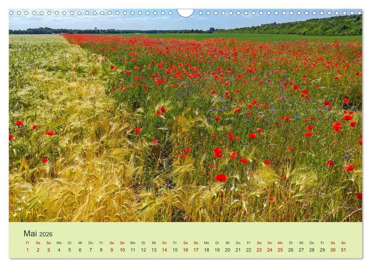 Produktbild: Wilde Blumen - ein Spaziergang durch die Natur (Wandkalender 2026 DIN A3 quer), CALVENDO Monatskalender