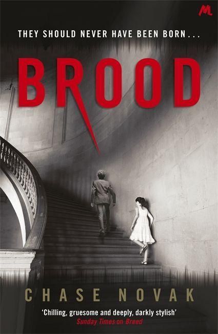 Produktbild: Novak, C: Brood