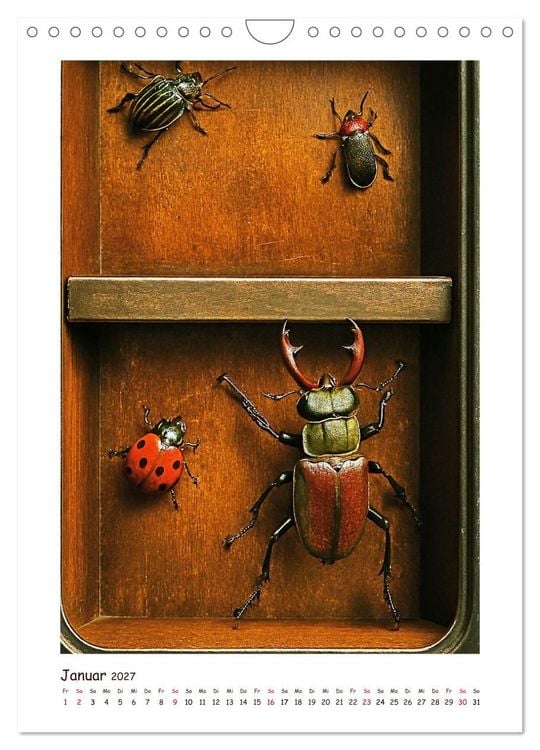 Produktbild: Wer f&auml;hrt denn da? Ein tierisches Paternoster Vergn&uuml;gen (Wandkalender 2027 DIN A4 hoch), CALVENDO Monatskalender