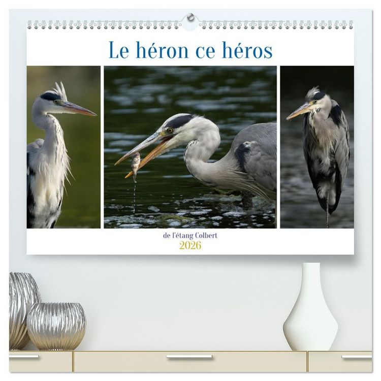 Produktbild: Le h&eacute;ron ce h&eacute;ros de l'&eacute;tang Colbert (Calendrier mural 2026 DIN A2 vertical) calendrier de bureau
