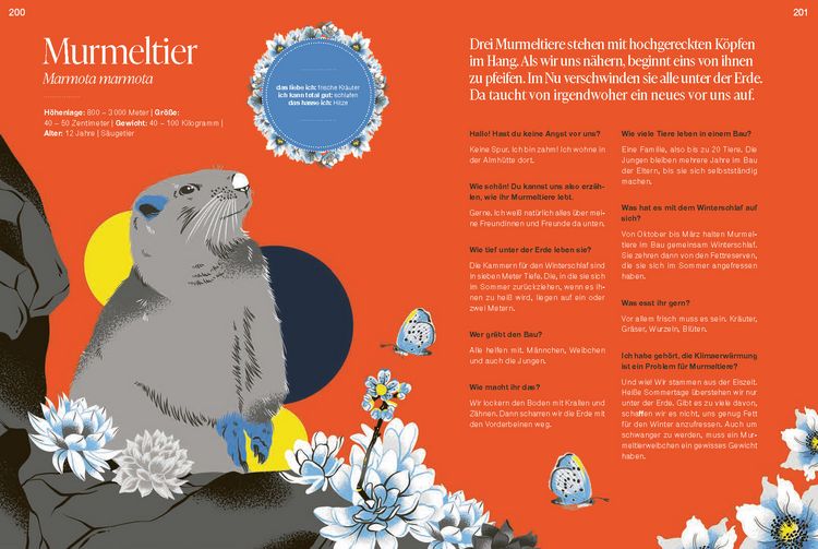 Produktbild: Bio-Diversi-Was? Reise in die fantastische Welt der Artenvielfalt. In Kooperation mit dem WWF