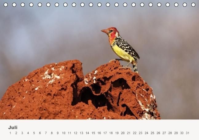 Produktbild: Faszination Ostafrika - Tierwelt und Natur aus Kenia und Tansania (Tischkalender immerw&auml;hrend DIN A5 quer)
