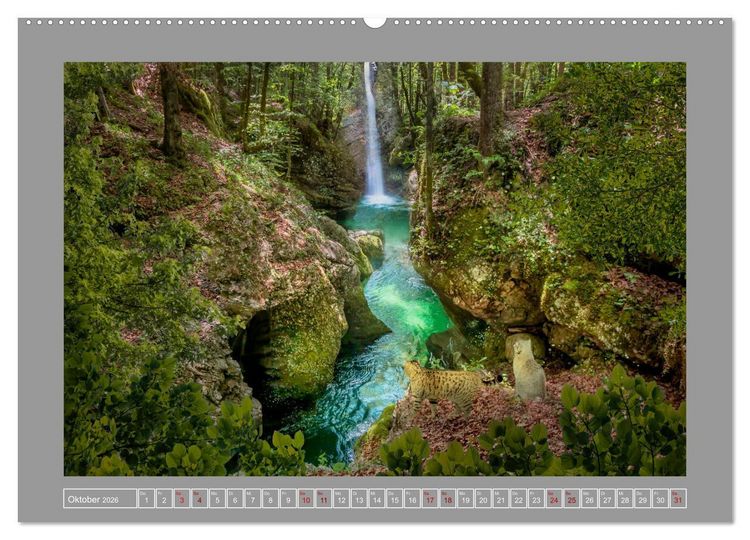 Produktbild: Kleine Streuner (hochwertiger Premium Wandkalender 2026 DIN A2 quer), Kunstdruck in Hochglanz