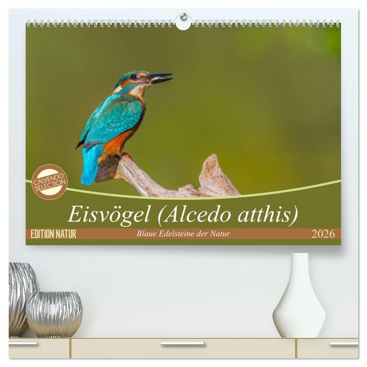 Produktbild: Eisv&ouml;gel (Alcedo atthis) - Edelsteine der Natur (hochwertiger Premium Wandkalender 2026 DIN A2 quer), Kunstdruck in Hochglanz