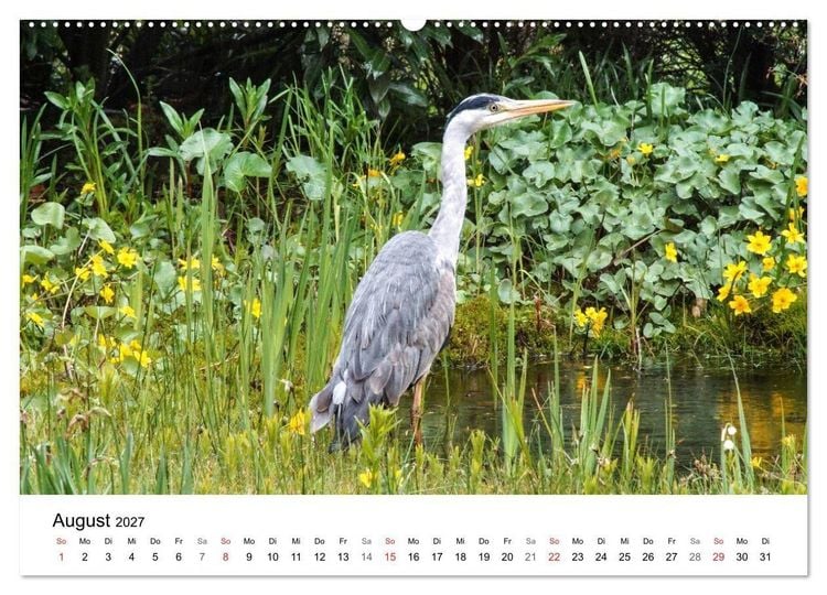 Produktbild: Paradies Naturgarten (Wandkalender 2027 DIN A2 quer), CALVENDO Monatskalender