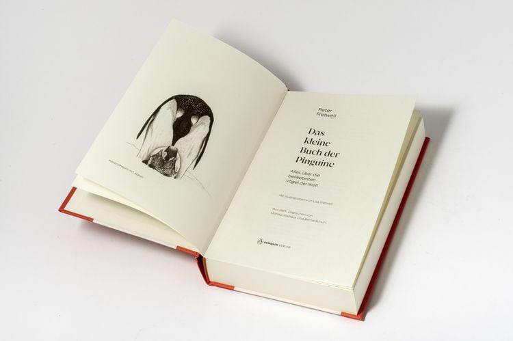 Produktbild: Das kleine Buch der Pinguine