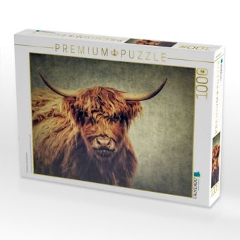 Produktbild: CALVENDO Puzzle Schottisches Hochlandrind | 1000 Teile Lege-Gr&ouml;&szlig;e 64x48cm Foto-Puzzle f&uuml;r gl&uuml;ckliche Stunden