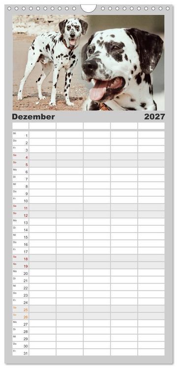 Produktbild: Familienplaner 2027 - Gefleckte Freunde - Hunderasse Dalmatiner mit 5 Spalten (Wandkalender, 21 x 45 cm) CALVENDO