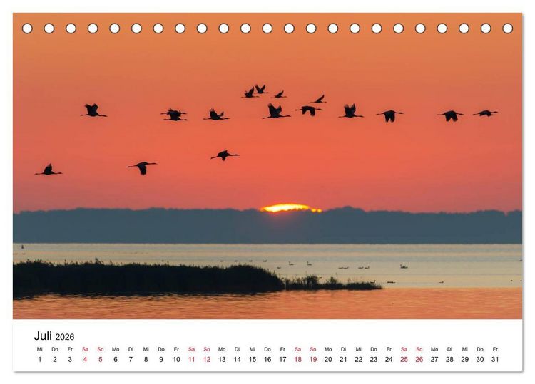 Produktbild: Zug der Kraniche (Tischkalender 2026 DIN A5 quer), CALVENDO Monatskalender