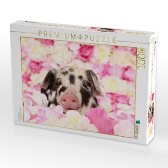 Produktbild: CALVENDO Puzzle Turopolje Ferkel | 1000 Teile Lege-Gr&ouml;&szlig;e 64x48cm Foto-Puzzle f&uuml;r gl&uuml;ckliche Stunden