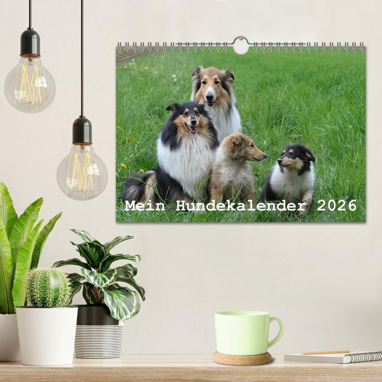 Produktbild: Mein Hundekalender 2026 (Wandkalender 2026 DIN A4 quer), CALVENDO Monatskalender