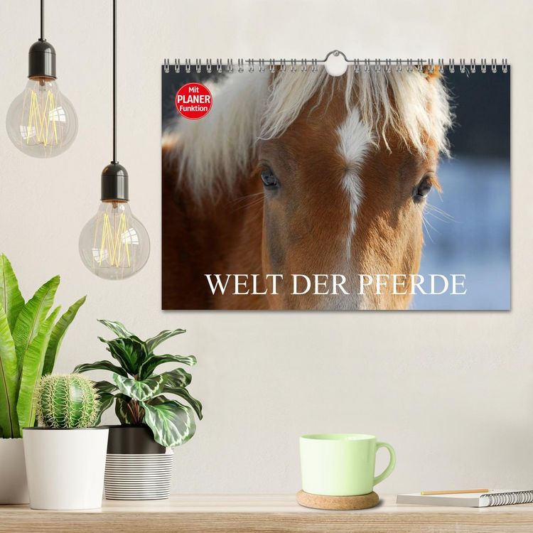 Produktbild: Welt der Pferde (Wandkalender 2026 DIN A4 quer), CALVENDO Monatskalender