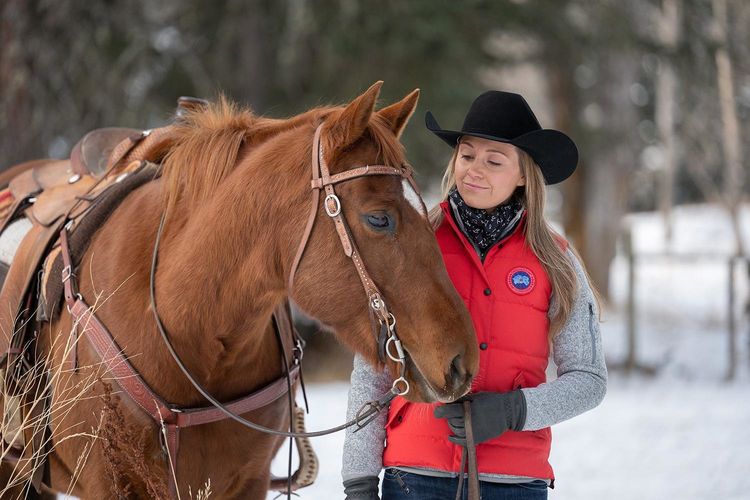 Produktbild: Heartland - Paradies f&uuml;r Pferde - Staffel 14 [4 DVDs]