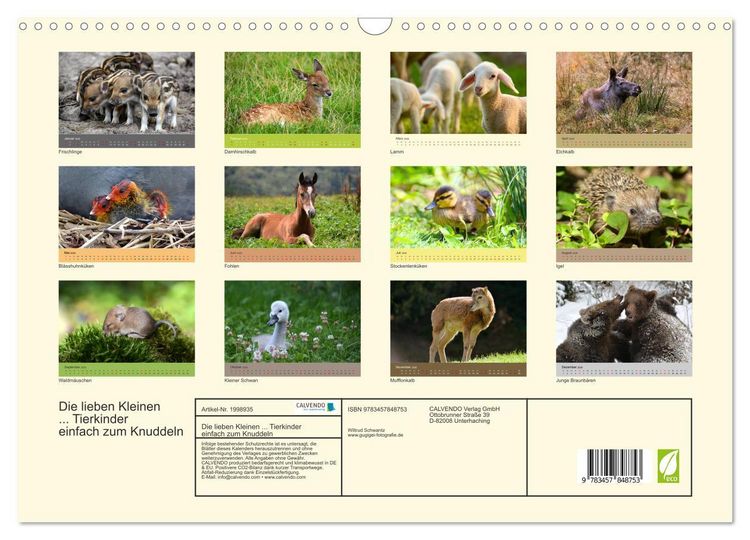 Produktbild: Die lieben Kleinen ... Tierkinder einfach zum Knuddeln (Wandkalender 2026 DIN A3 quer), CALVENDO Monatskalender
