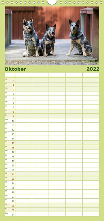 Produktbild: Spaziergang am See Australian Cattle Dogs - Familienplaner hoch (Wandkalender 2022 , 21 cm x 45 cm, hoch)