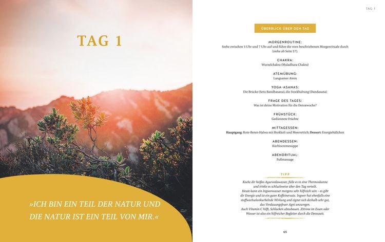 Produktbild: Ayurveda