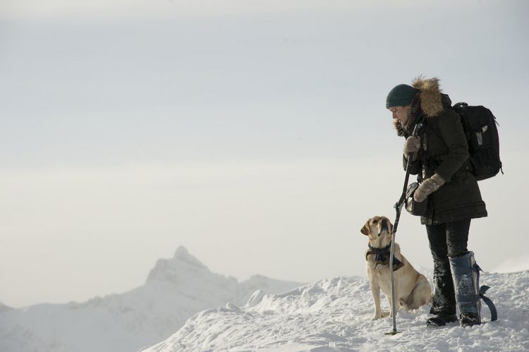 Produktbild: Zwischen zwei Leben - The Mountain Between Us