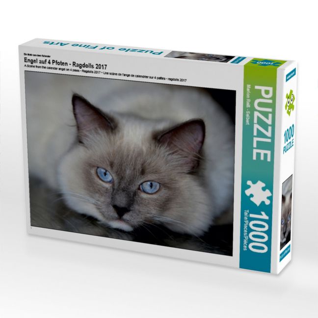 Produktbild: CALVENDO Puzzle Ein Motiv aus dem Kalender Engel auf 4 Pfoten - Ragdolls 2017 | 1000 Teile Lege-Gr&ouml;&szlig;e 64x48cm Foto-Puzzle f&uuml;r gl&uuml;ckliche Stunden