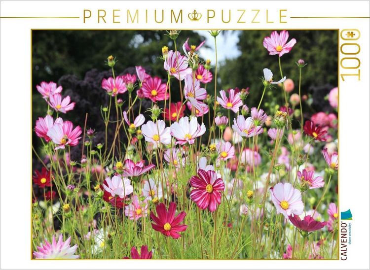 Produktbild: CALVENDO Puzzle Cosmea oder Schmuckk&ouml;rbchen in der Blumenwiese | 1000 Teile Lege-Gr&ouml;&szlig;e 64x48cm Foto-Puzzle f&uuml;r gl&uuml;ckliche Stunden