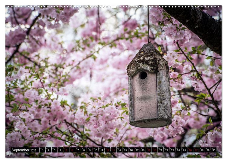 Produktbild: Fr&uuml;hlingsbl&uuml;her - Farbenpracht nach dem Winter (Wandkalender 2026 DIN A2 quer), CALVENDO Monatskalender