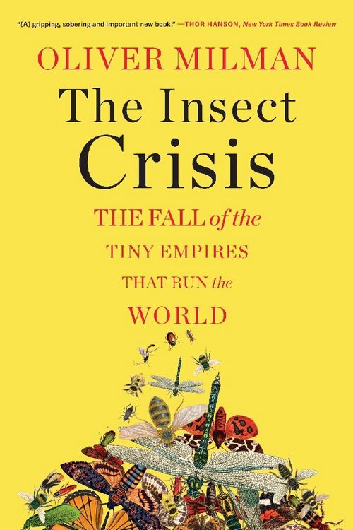 Produktbild: The Insect Crisis