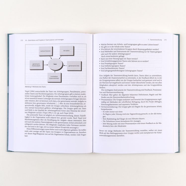 Produktbild: Handbuch Schulentwicklung: Beratung und Begleitung