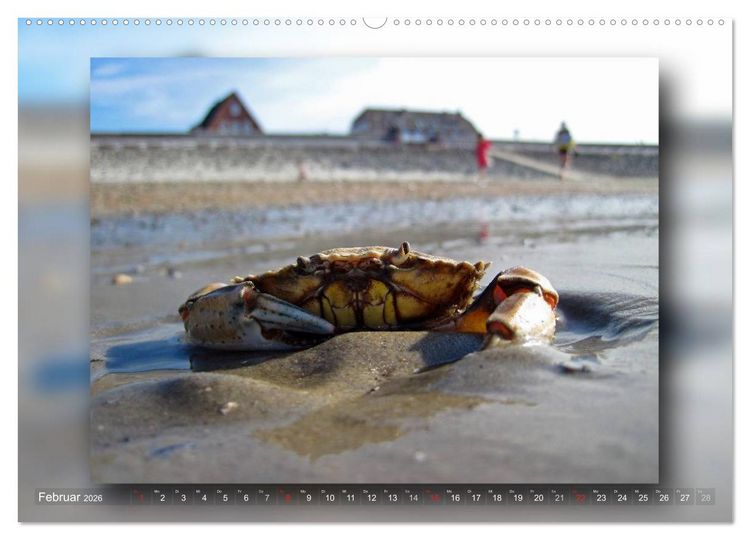 Produktbild: Baltrum - Ein Tag am Strand (Wandkalender 2026 DIN A2 quer), CALVENDO Monatskalender