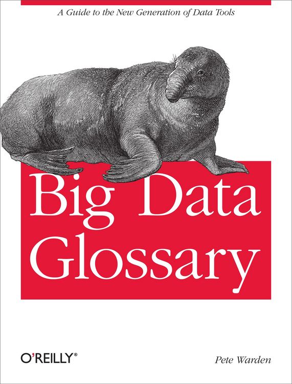 Produktbild: Big Data Glossary