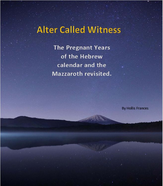 Produktbild: Alter Called Witness