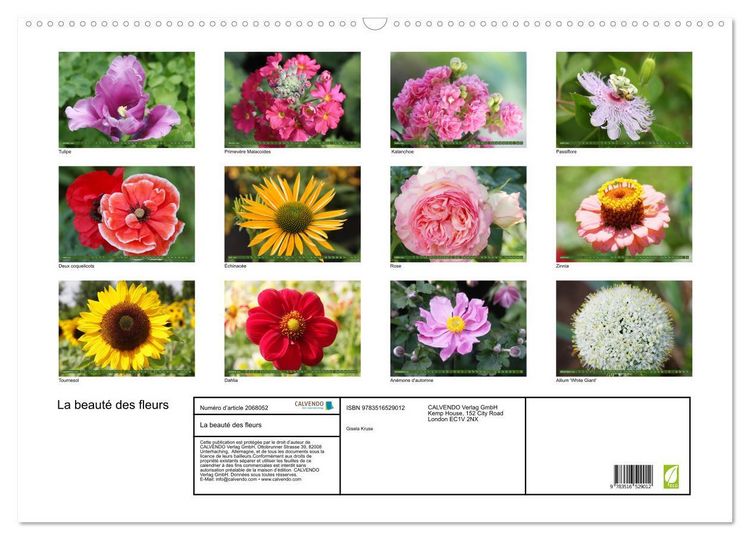 Produktbild: La beaut&eacute; des fleurs (Calendrier mural 2026 DIN A2 vertical), CALVENDO calendrier mensuel