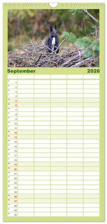 Produktbild: Familienplaner 2026 - Eichh&ouml;rnchenliebe mit 5 Spalten (Wandkalender, 21 x 45 cm) CALVENDO