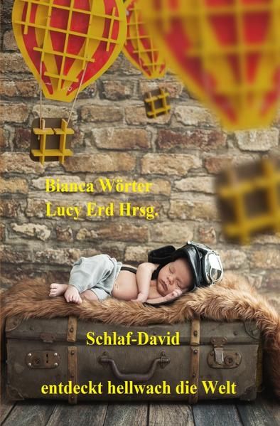 Produktbild: Schlaf-David entdeckt hellwach die Welt