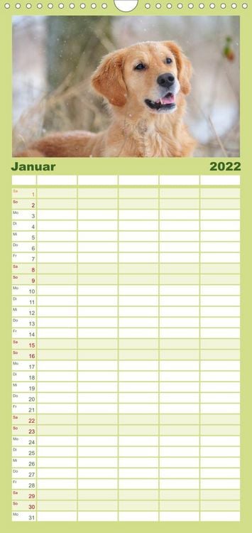 Produktbild: Familienplaner Golden Retriever (Wandkalender 2022 , 21 cm x 45 cm, hoch)
