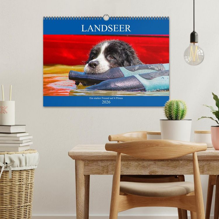 Produktbild: Landseer - Ein starker Freund auf 4 Pfoten (Wandkalender 2026 DIN A3 quer), CALVENDO Monatskalender
