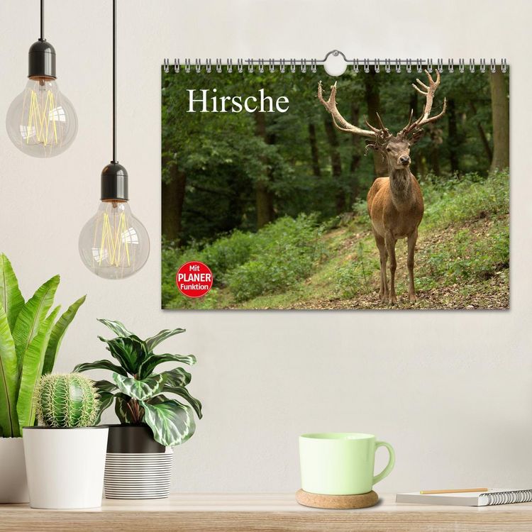 Produktbild: Hirsche (Wandkalender 2026 DIN A4 quer), CALVENDO Monatskalender