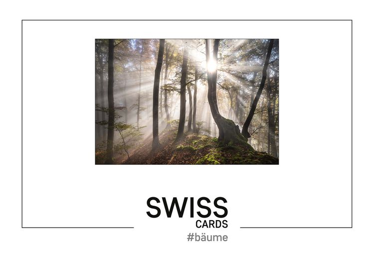 Produktbild: Swiss-Cards