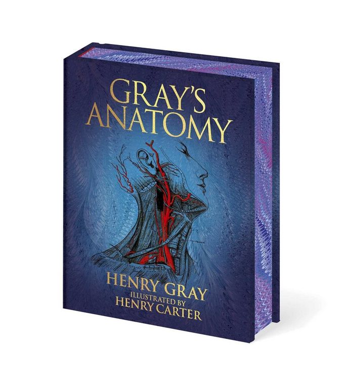 Produktbild: Gray's Anatomy