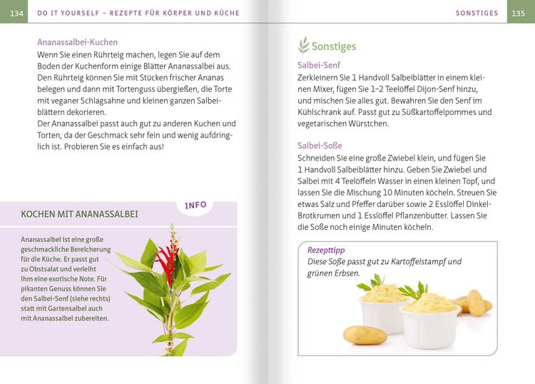 Produktbild: Salbei - Mutter aller Heilpflanzen. Kompakt-Ratgeber