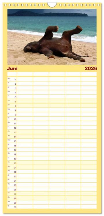 Produktbild: Familienplaner 2026 - Elefanten. Badespa&szlig; am Strand mit 5 Spalten (Wandkalender, 21 x 45 cm) CALVENDO