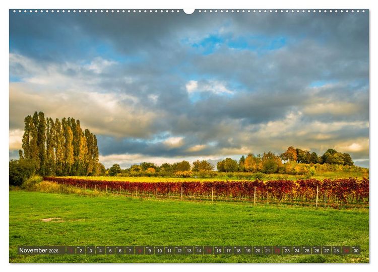 Produktbild: Kultur im Rheingau (hochwertiger Premium Wandkalender 2026 DIN A2 quer), Kunstdruck in Hochglanz