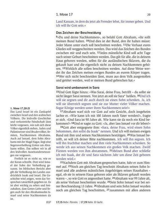 Produktbild: Das Buch der Versprechen