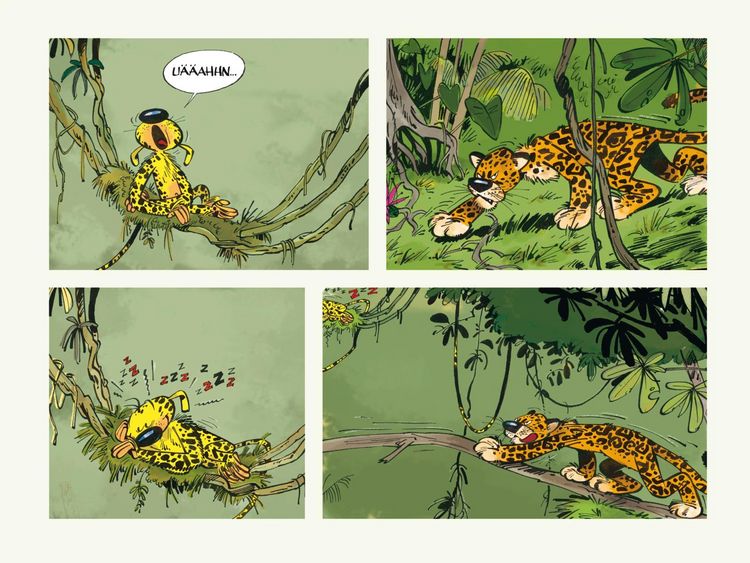 Produktbild: Huba! - Eine Marsupilami-Liebesgeschichte (Hochwertige Jubil&auml;umsedition 100 Jahre Franquin)