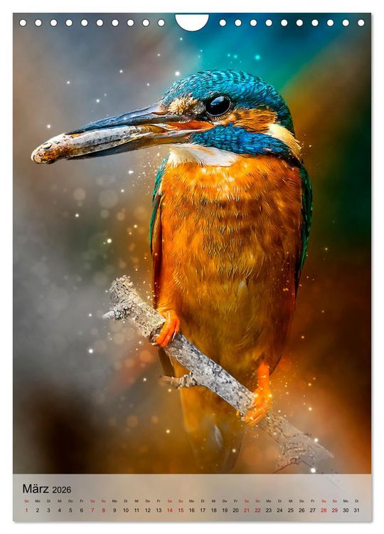 Produktbild: Schillernder Eisvogel (Wandkalender 2026 DIN A4 hoch), CALVENDO Monatskalender