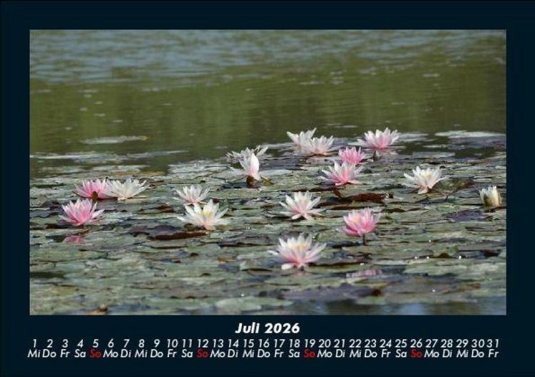 Produktbild: Seeblick 2026 Fotokalender DIN A5