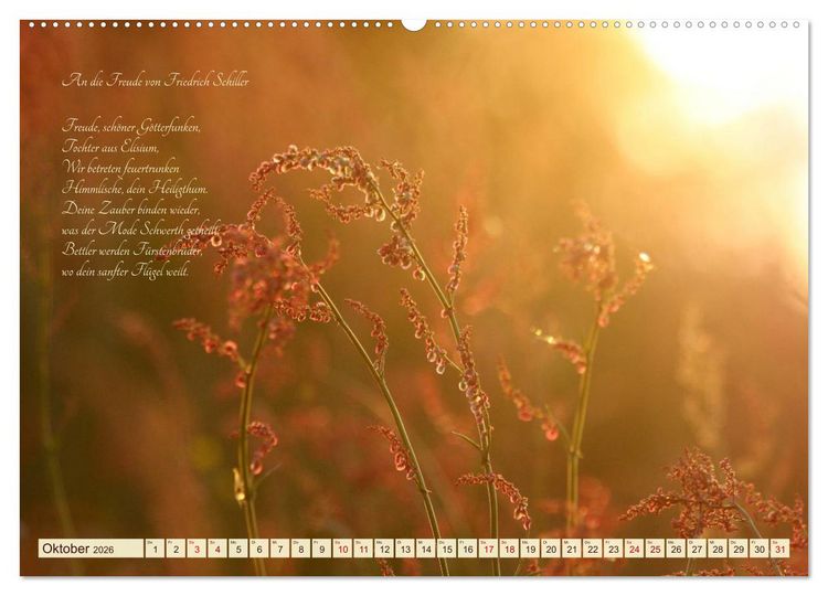 Produktbild: Sommergr&auml;ser (hochwertiger Premium Wandkalender 2026 DIN A2 quer), Kunstdruck in Hochglanz