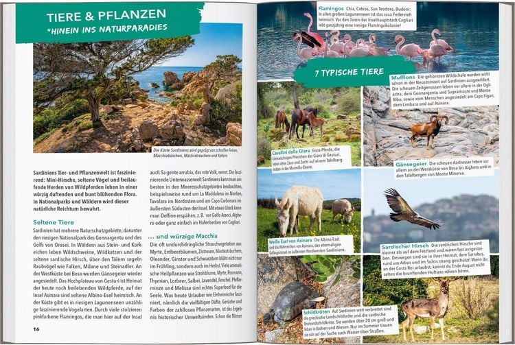 Produktbild: Marco Polo Outdoor Guide Reisef&uuml;hrer Sardinien