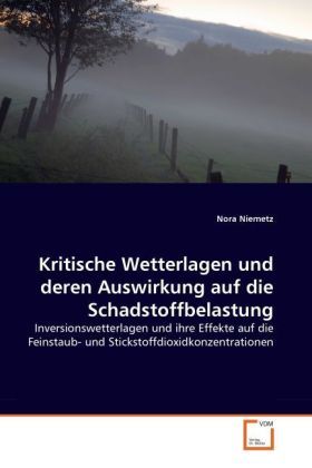 Produktbild: Niemetz, N: Kritische Wetterlagen und deren Auswirkung auf d