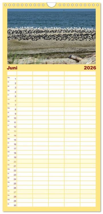 Produktbild: Familienplaner 2026 - Amrum, die Perle in der Nordsee mit 5 Spalten (Wandkalender, 21 x 45 cm) CALVENDO