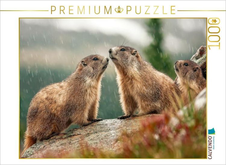 Produktbild: CALVENDO Puzzle Oh wie sch&ouml;n - eine Regendusche | 1000 Teile Lege-Gr&ouml;&szlig;e 64x48cm Foto-Puzzle f&uuml;r gl&uuml;ckliche Stunden
